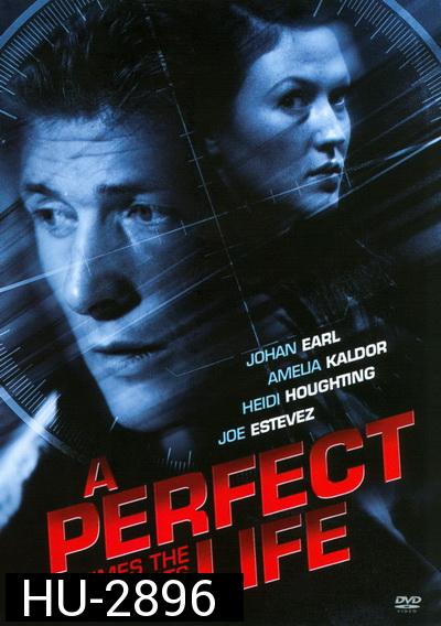 A Perfect Life พิศวาสสีเลือด (2010)