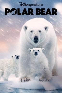 ดูหนังออนไลน์ฟรี Polar Bear (2022)